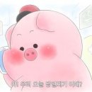 사모님 짬뽕 네이버블로그