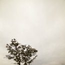 고목목장 이미지