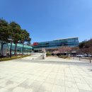 노작공원(노인공원) | 동탄 반석공원 :: 벚꽃구경과 피크닉하기 좋은 코스