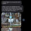 스테이온더힐 이미지