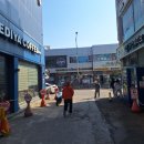 십자약국 | 강아지 약 어디서 사야 할까? 동물병원 vs 약국 비교” “심장사상충약 약국에서 사도 될까? 실제 후기”