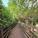 종로-신교-종로-신-395 | 금선사