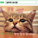 펜션해솔리아 | '약속하오리' 용인 처인구 맛집, 풀장, 수영장이 있고.... 직접 키운 채소로 만들어주는 오리요리 전문점