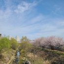 노작공원(오산천변) 이미지