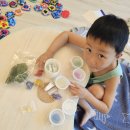 스칸디아모스 작품 만들기 | 우리 아이가 더 좋아한 식물액자 만들기,엄마표 스칸디아모스 DIY 키트 후기