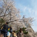 만복국수천안직산점