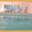 스테이 길리 풀빌라 글램핑 이미지