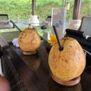 뚜벅뚜벅 세계여행 | 발리 신혼여행 숙소 아야나리조트빌라스 풀빌라 리버풀 후기