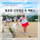용연목장 | 태백가볼만한곳 몽토랑산양목장 몽토랑 제빵소