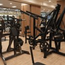 쏘마휘트니스 이미지