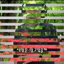 서&박