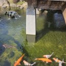 단청 | 광주 근교, 담양 수북면 '단청' 안 '몽에뚜와르 단청 제빵소' 후기_주차 꿀팁 포함, 담양 가볼만한 맛집...