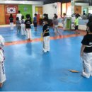 새화랑태권도장 이미지