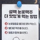 설맥 괴정점