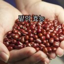 원짐 이미지