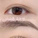 더예쁜 속눈썹 네이버블로그