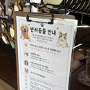 노산지 | 제주 모알보알 노키즈존·반려동물동반 오션뷰카페 내돈내산 후기(feat.주차정보, 포토존)