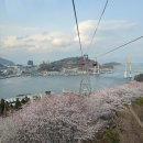 돌산대교 | [여수/돌산읍] 여행코스 관광지 가볼만한곳 오동도 돌산대교 예약후기 내돈내산 &#34;여수해상케이블카&#34;