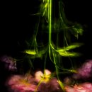 강석암의원 이미지