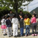 속리초교 병설유치원 이미지