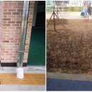 여문초등학교 이미지