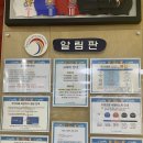 국가대표 어린이수영클럽 이미지