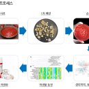 우리가치연구원 이미지
