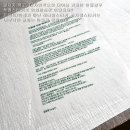 서문인쇄소