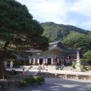 (주)정다운 여행