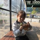 씨유 의정부가능sk점 | 뚜식이 뮤지컬 관람후기 뚜식이라 다행이야 덤으로 이화여대 구경도