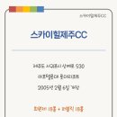메가서치그룹