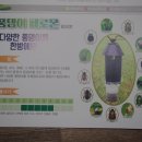 에이스안동환경 이미지