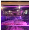 풍미가든 | 대전성남동맛집 조대포가든삼겹살 대전점 풍미가 살아있는 고기 후기