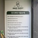 인디퍼피 이미지