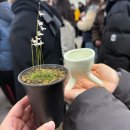 혜민이네 | 팟파티 시즌8┃더욱 치열해진 팟구하기