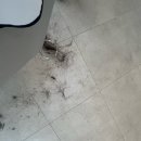 천호역 1인 미용실 페이스라인 레이어드컷 어나더헤어