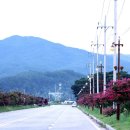 맹방해변로 이미지