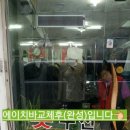 배기선의상실 이미지
