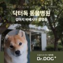 풍산동물병원 이미지