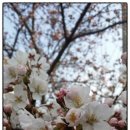 호연환경 이미지