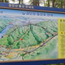 현충탑진입로 이미지