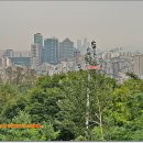 미성동-21 이미지