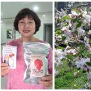 강천농장 이미지