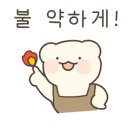 미미레시피