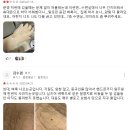 마란트2호텔 | 친구와 대마도 1박2일 여행, 부산역 가성비 저렴한 숙소 마란트 레지던스 호텔 디럭스룸 후기 가격...