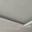카페 디아망 | 반셀인D+8 수원금손도배 디아망 회벽화이트 공용부 회벽크림화이트 각방 디아망 도배 성공후기