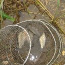 내사는이야기 이미지