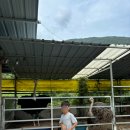 한우드림제2농장 이미지