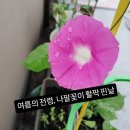 굿모닝빌딩앞 육교밑 | [Tour]#228.마이리얼트립 어린이 도슨트 후기,#115.일본과학미래관/ 비오는날 엄마와 함께 추억만들기