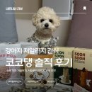 코코댕 | 강아지 알러지 간식 추천｜내돈내산 코코댕 저알러지 간식 솔직 후기 (바니팝·순순 미니큐브·치카롤)